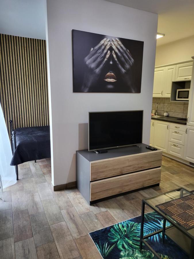 Moon Apartments 포즈난 외부 사진