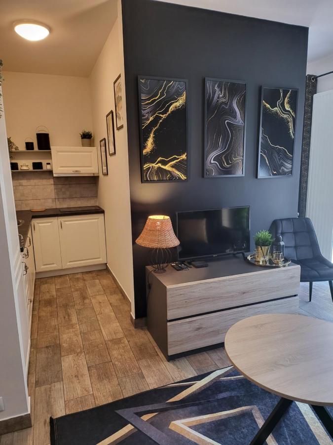 Moon Apartments 포즈난 외부 사진